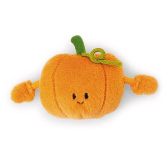 nici-mini-magnici-kuerbis-nici-19FFCBD31.jpg