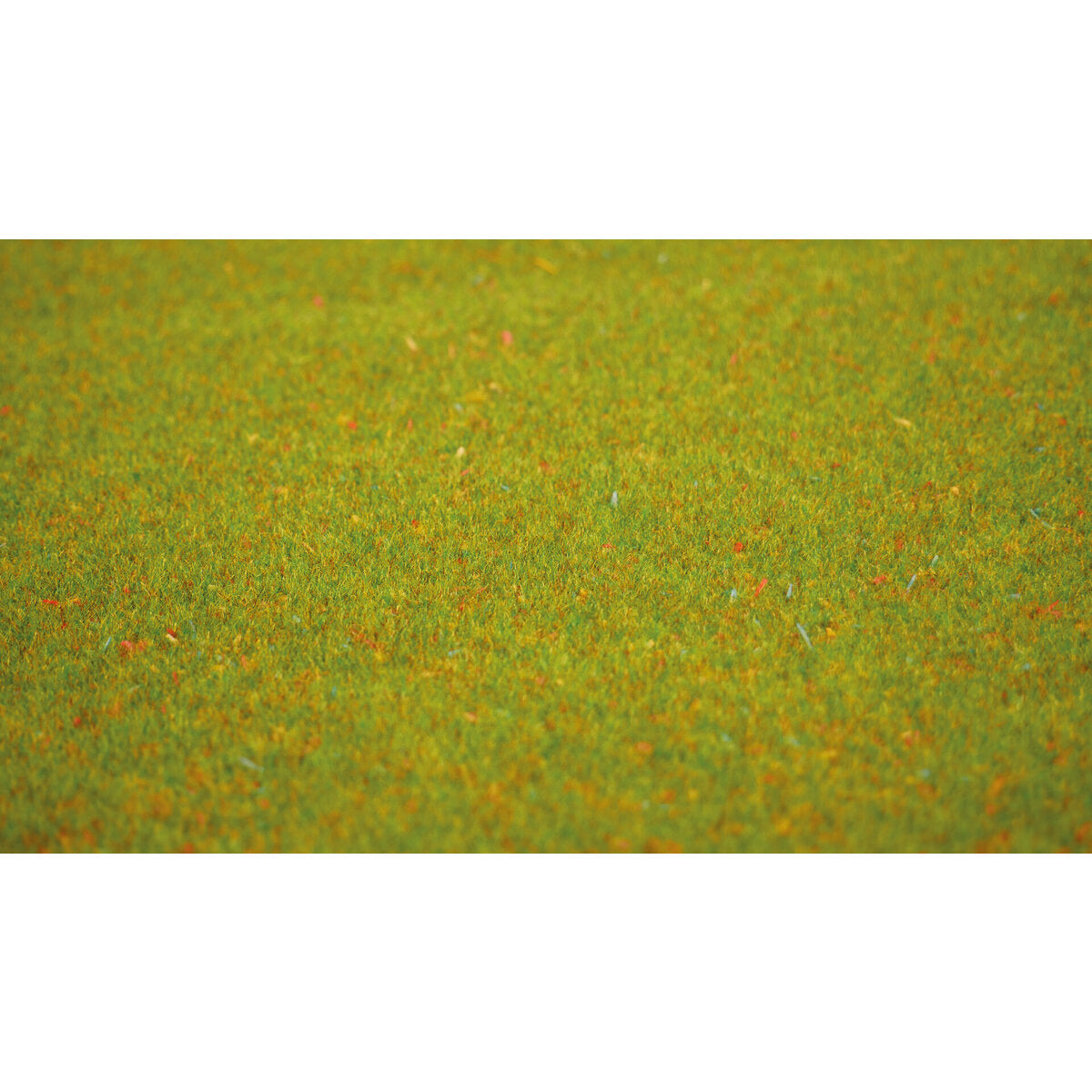 noch-00270-g-spur-1-DFBF03A83.jpg
