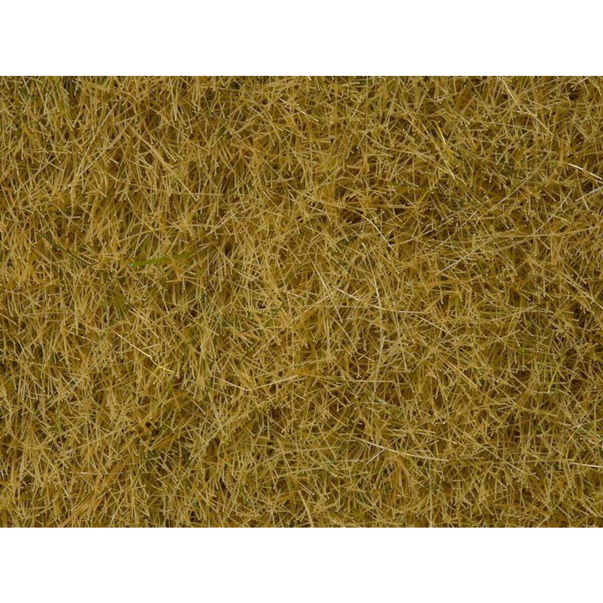 noch-wildgras-beige-100g-E33733441.jpg
