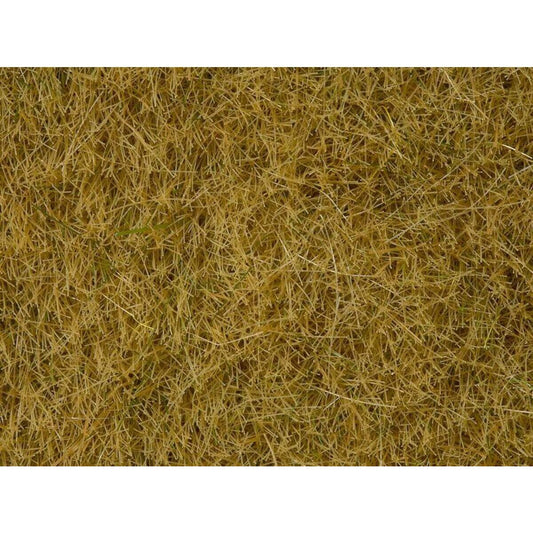noch-wildgras-beige-100g-E33733441.jpg