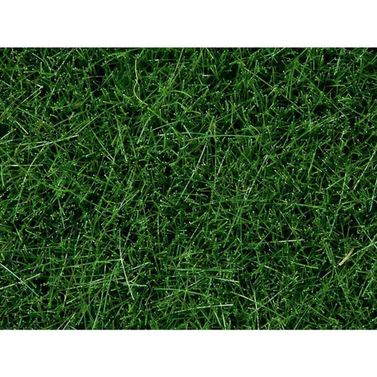 noch-wildgras-dunkelgruen-100g-1A034C491.jpg