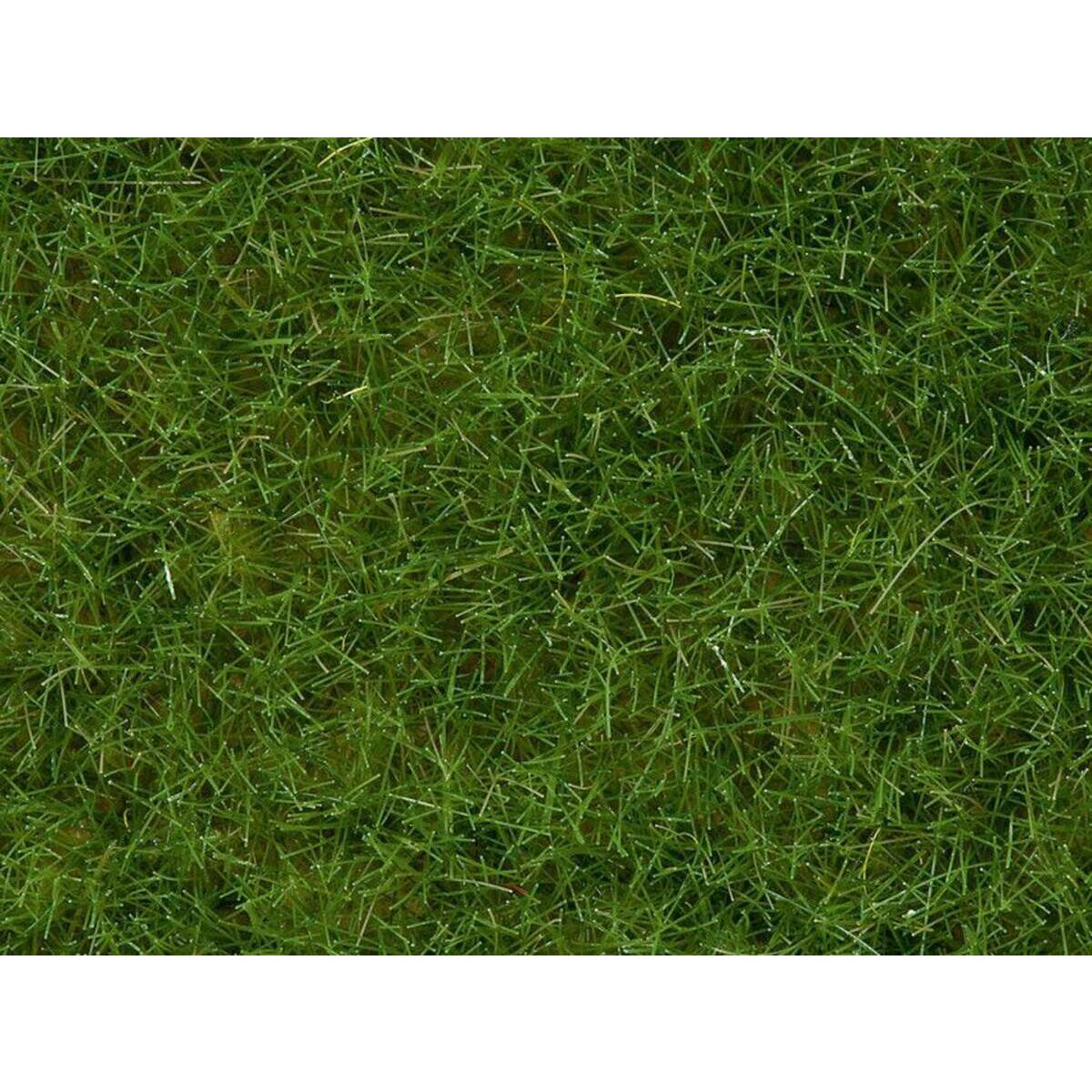 noch-wildgras-hellgruen-50g-3C8ACF601.jpg