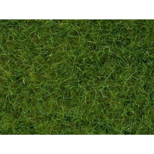 noch-wildgras-hellgruen-50g-3C8ACF601.jpg
