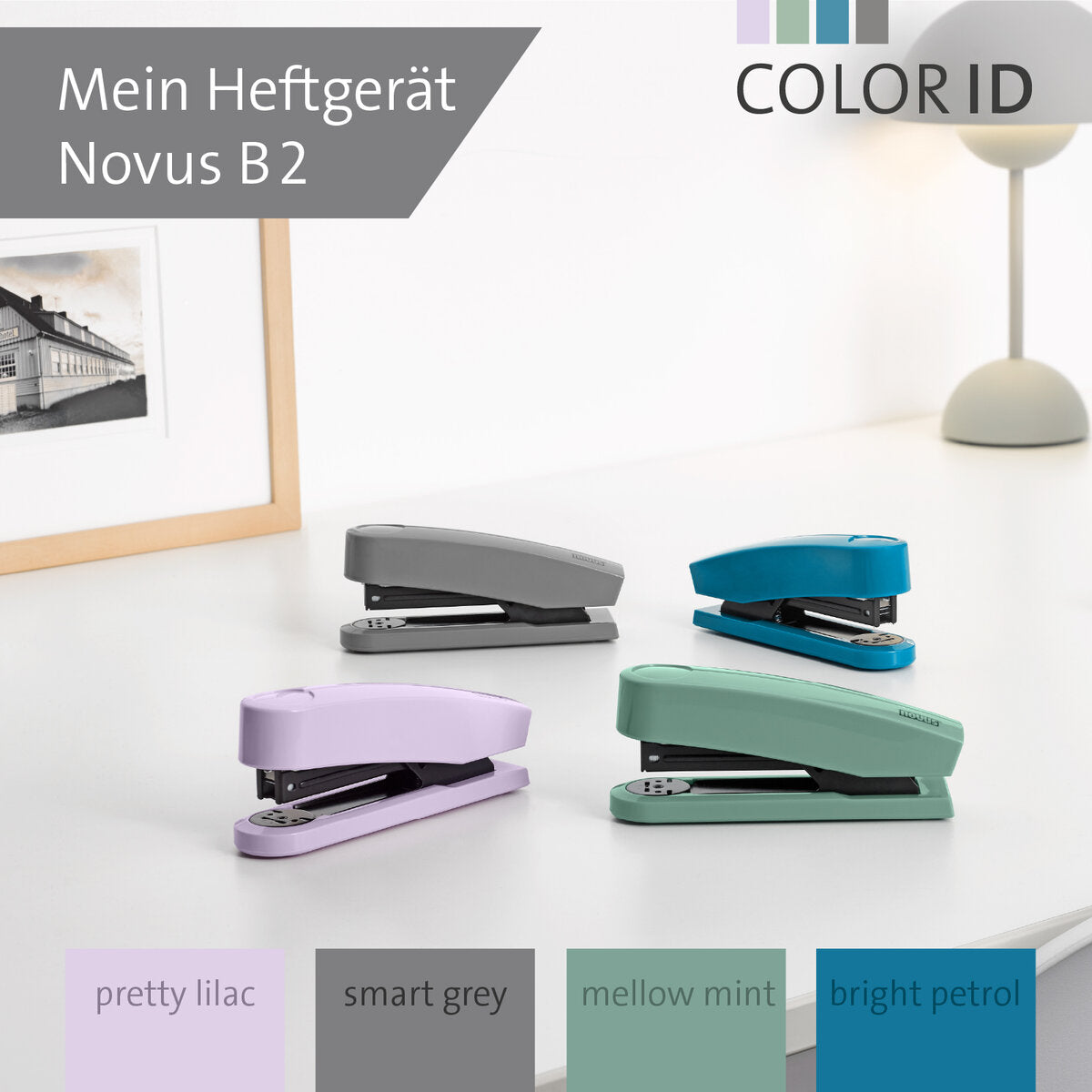 novus-b-2-color-id-9ECEFE352.jpg