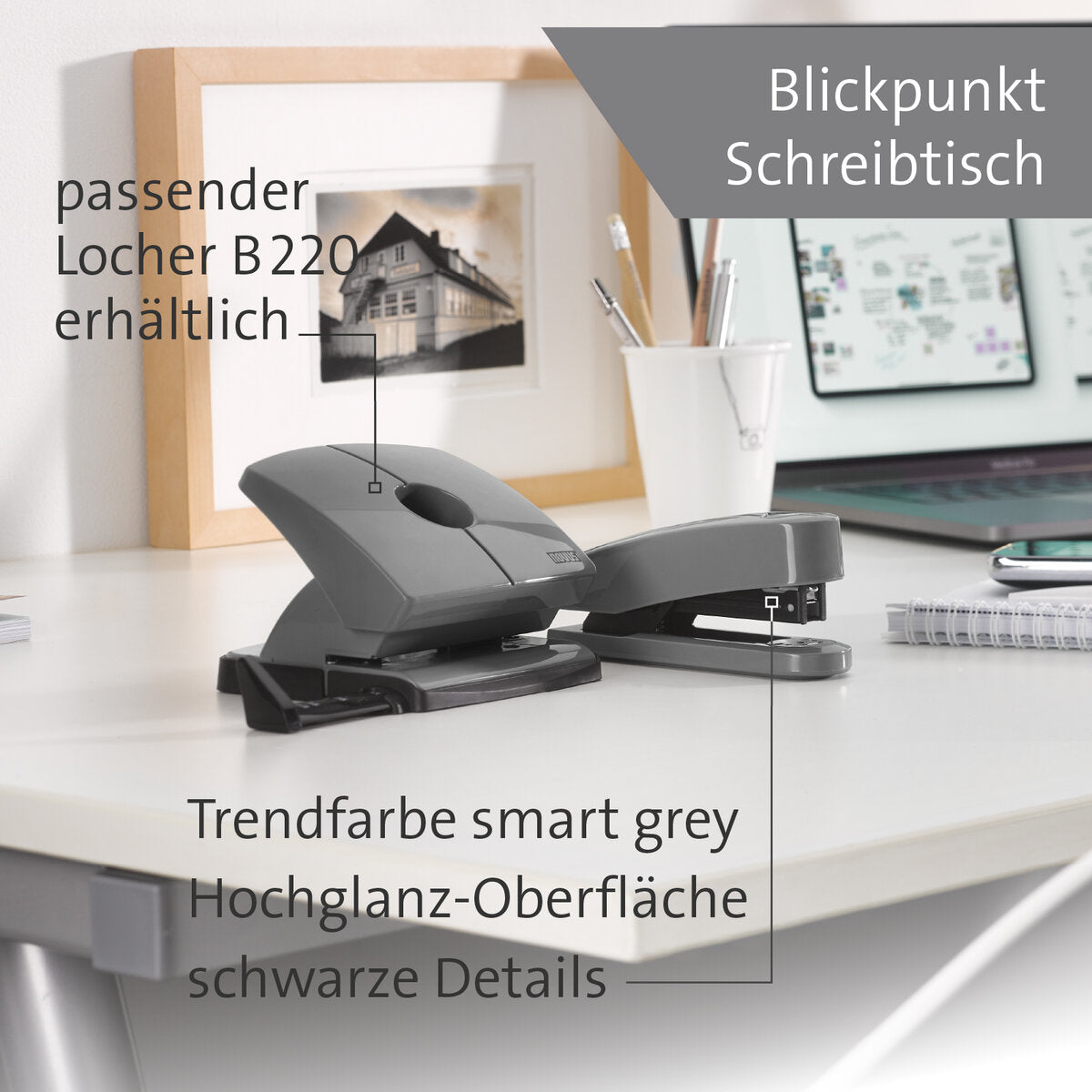 novus-b-2-color-id-9ECEFE353.jpg