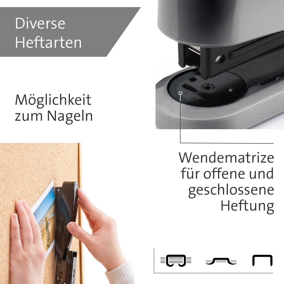 novus-b-2-color-id-9ECEFE354.jpg