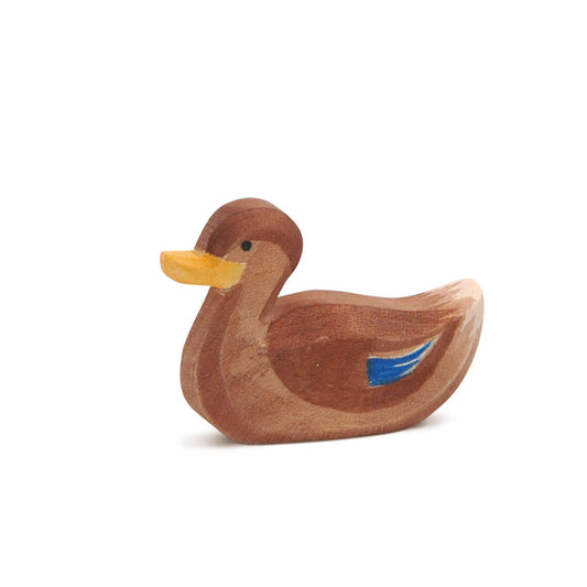 ostheimer-ente-schwimmend-612D45871.jpg