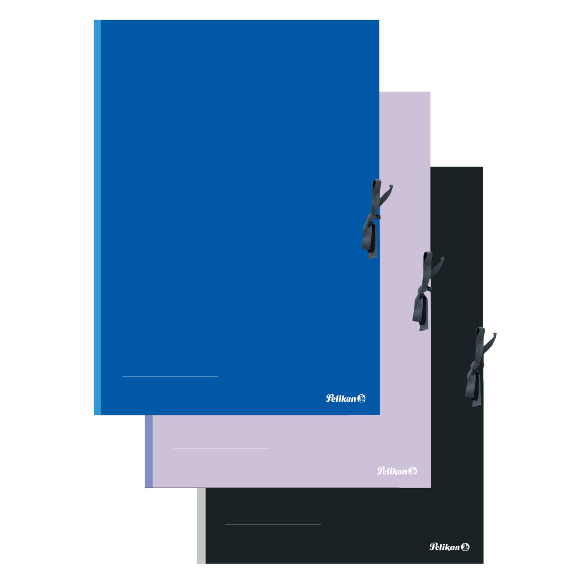 pelikan-sammelmappe-sm2-a2-farbig-3A893E211.jpg