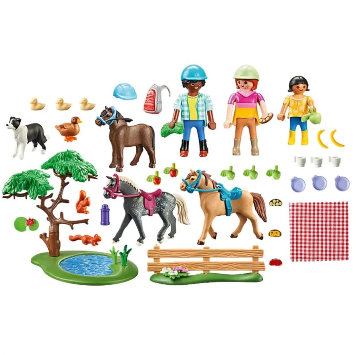 playmobil-71239-country---D1B71BF62.jpg
