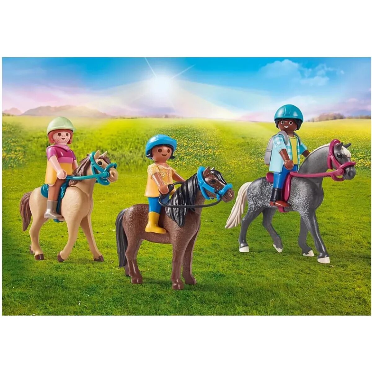 playmobil-71239-country---D1B71BF63.jpg