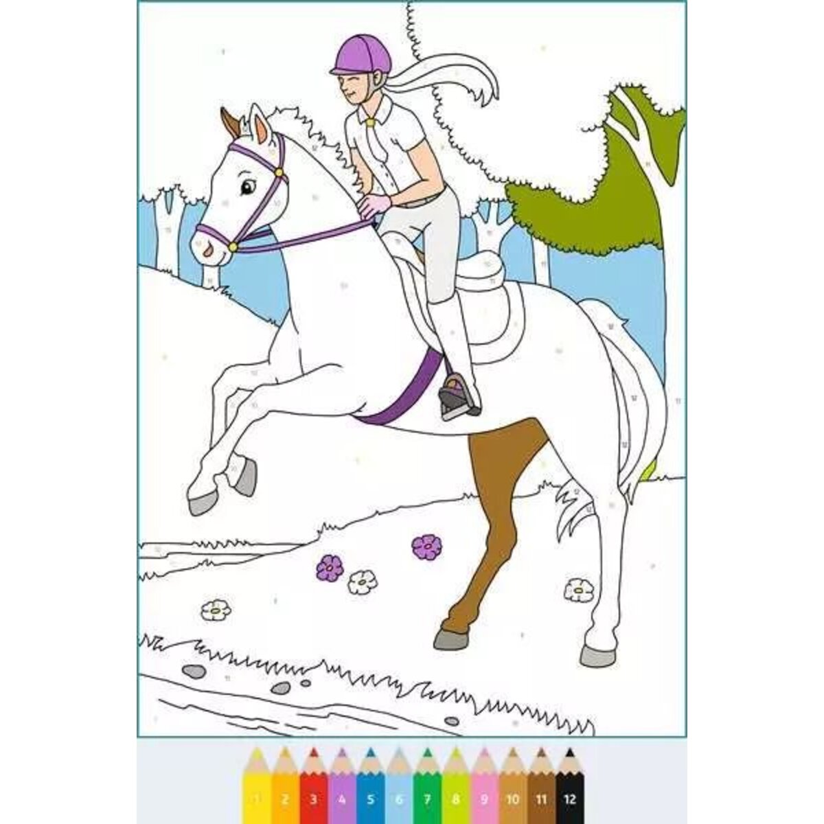 Ravensburger CreArt Malen nach Zahlen ab 5: Pferde