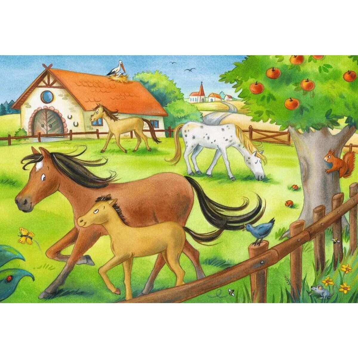 ravensburger-ferien-auf-dem-reiterhof-C1FE8F072.jpg