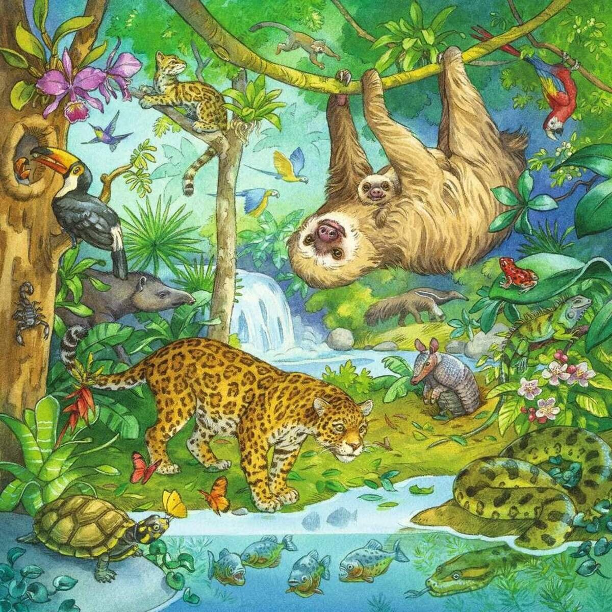 Ravensburger Kinderpuzzle 05180 - Im Urwald - 3x49 Teile