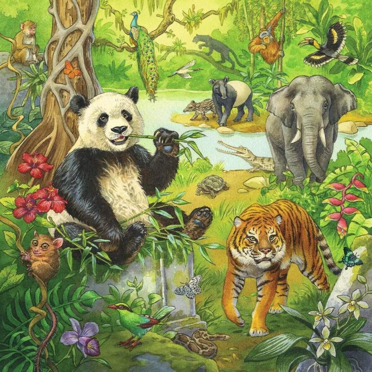 Ravensburger Kinderpuzzle 05180 - Im Urwald - 3x49 Teile