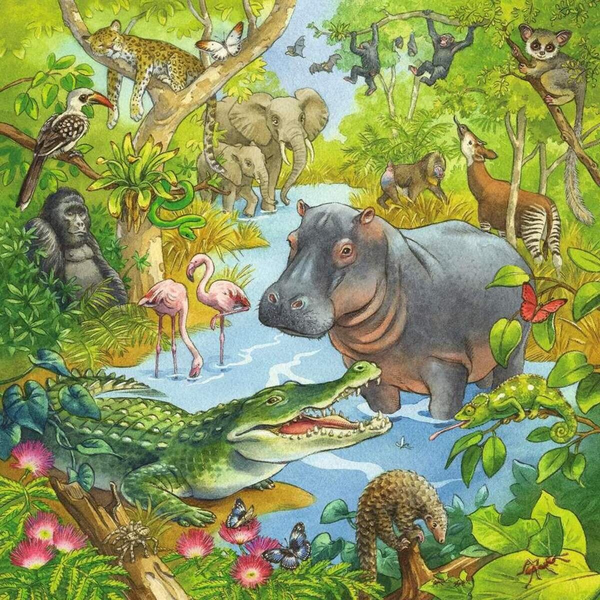 Ravensburger Kinderpuzzle 05180 - Im Urwald - 3x49 Teile