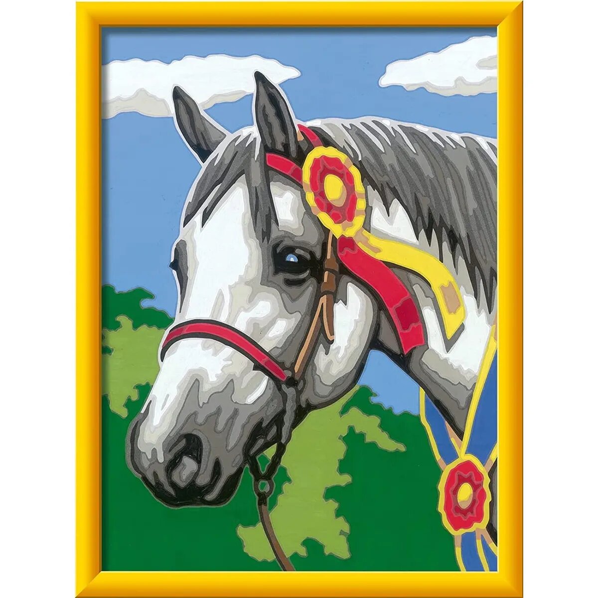 ravensburger-malen-nach-zahlen--5D26E5A62.jpg