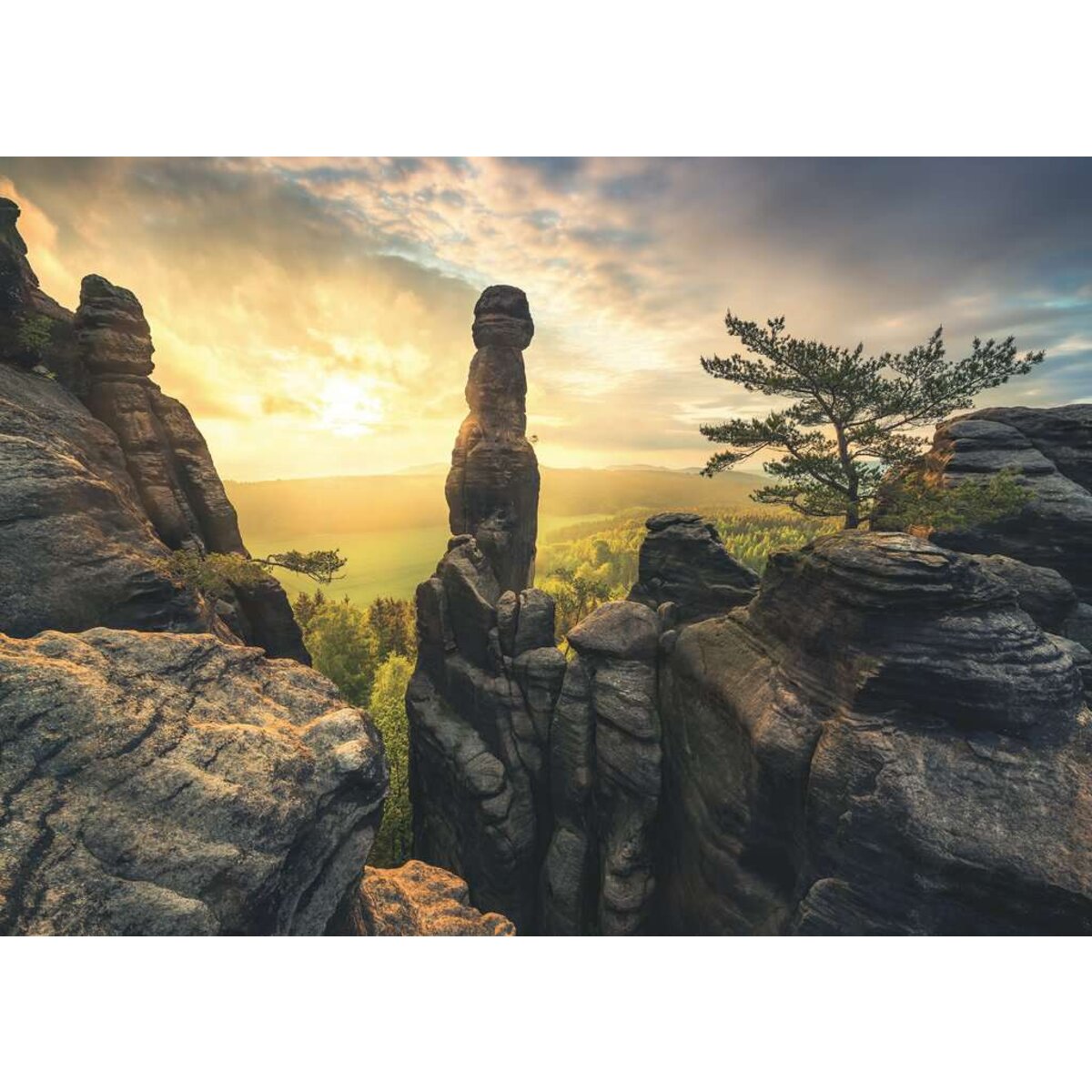 ravensburger-puzzle---erleuchtung-F63413AA2.jpg