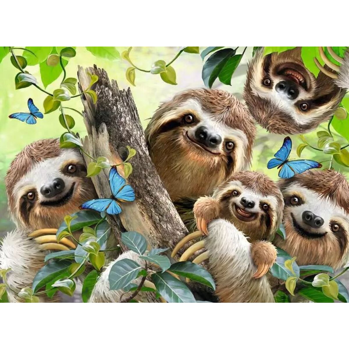 ravensburger-puzzle---faultier-00D080A92.jpg