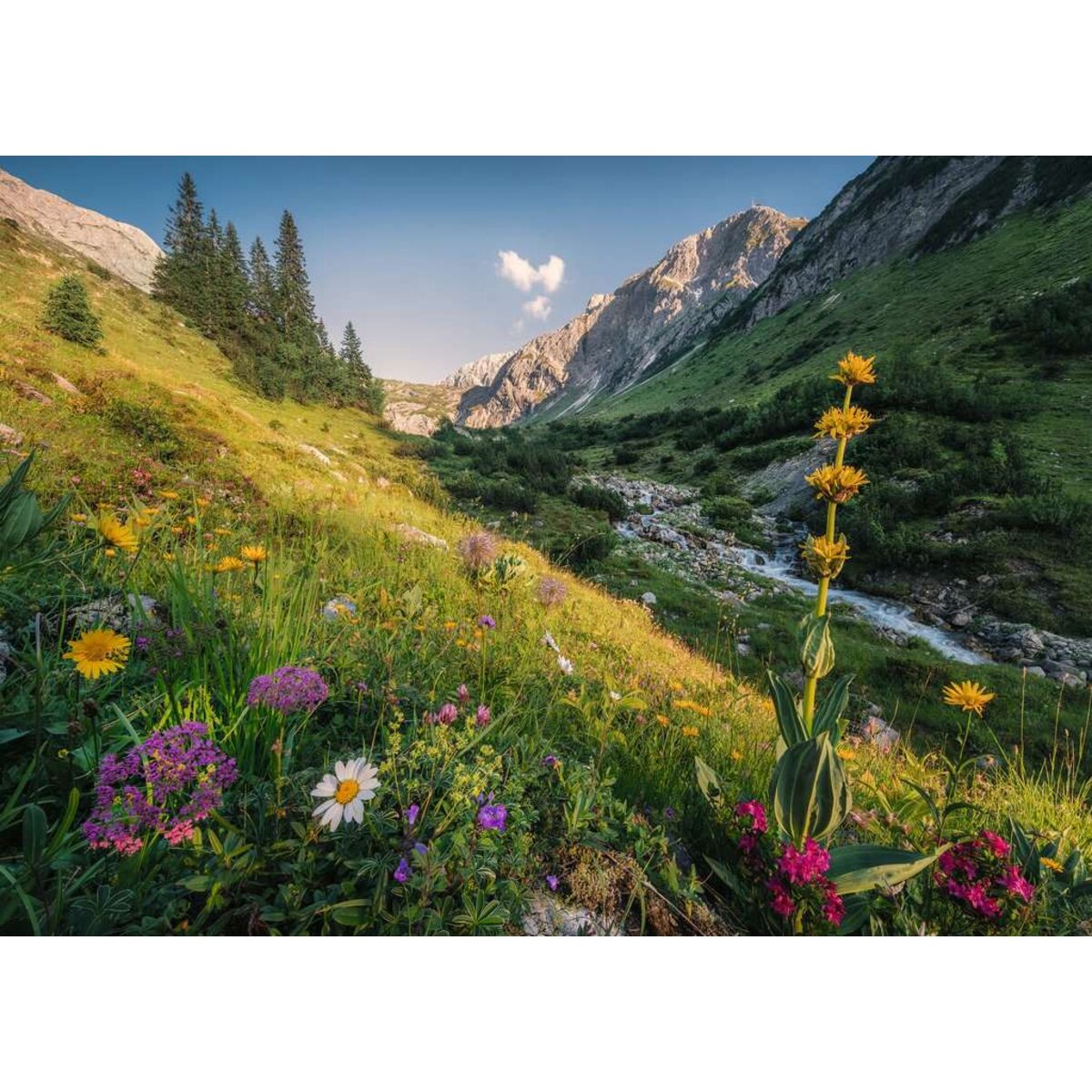 ravensburger-puzzle---im-85FAF52D2.jpg