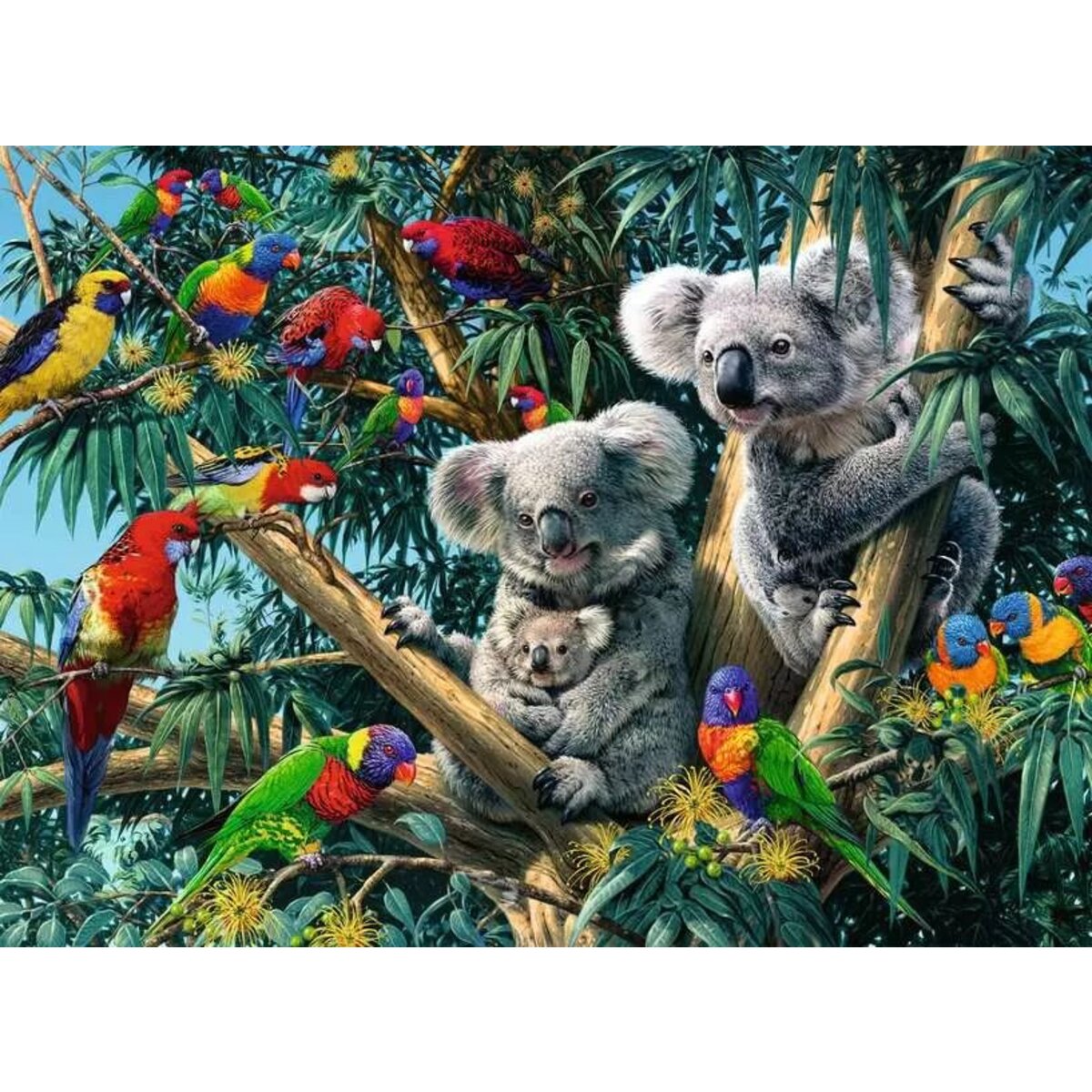 Ravensburger Puzzle - Koalas im Baum, 500 Teile