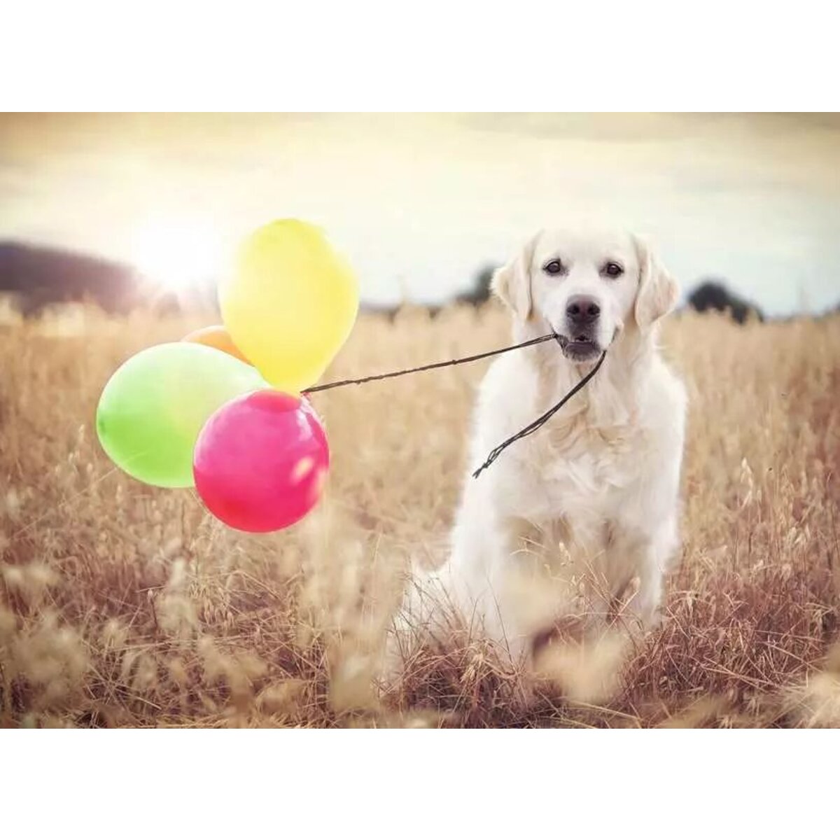 Ravensburger Puzzle - Luftballonparty, 500 Teile