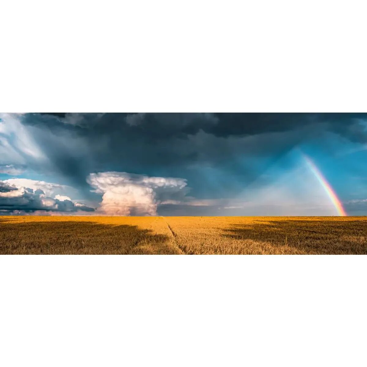 Ravensburger Puzzle - Mystisches Regenbogenwetter, 1000 Teile