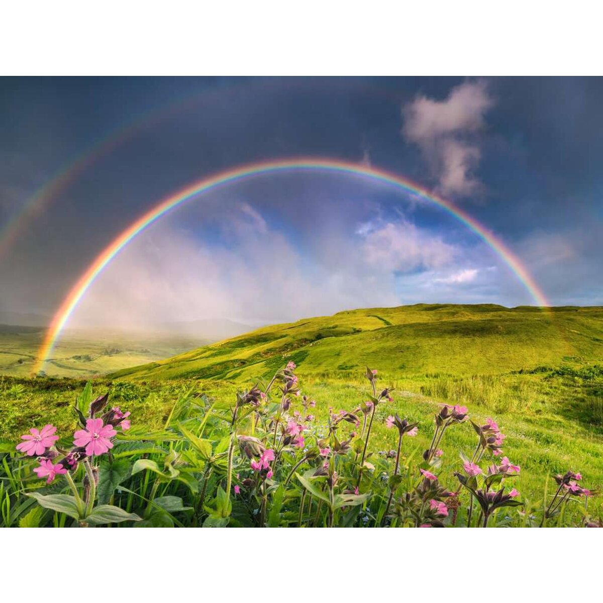 ravensburger-puzzle---spektakulaerer-56DFE5F42.jpg