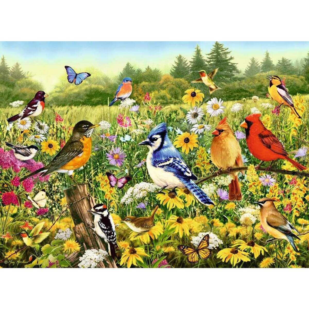 Ravensburger Puzzle - Vogelwiese, 500 Teile