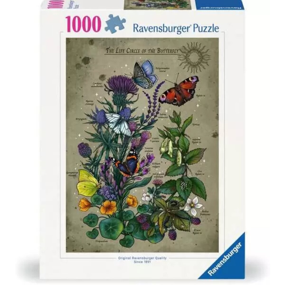 Ravensburger Puzzle 1000 Teile Lebenskreis eines Schmetterlings 50 x 70