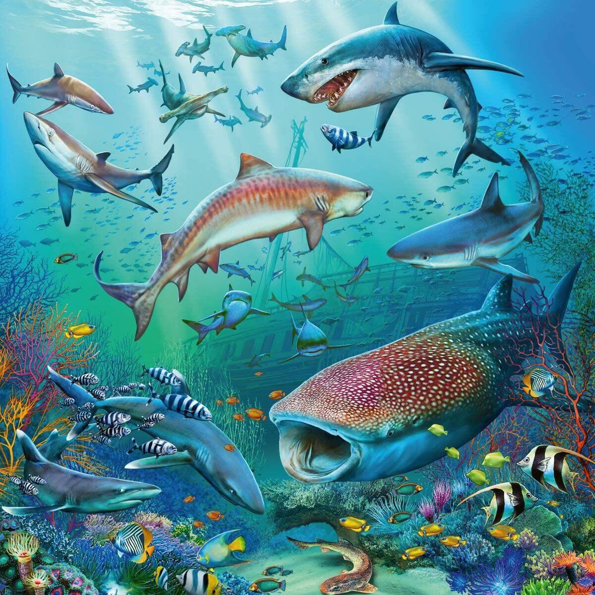 ravensburger-tierwelt-des-ozeans-3-C73E779D3.jpg