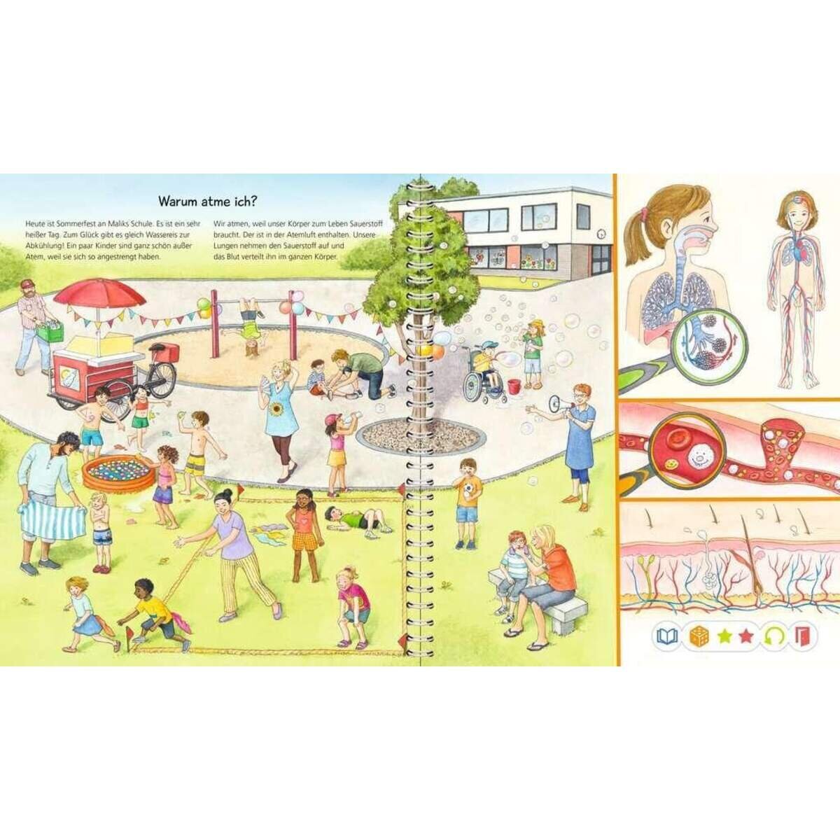 Ravensburger tiptoi® Wieso? Weshalb? Warum? Alles über den Körper