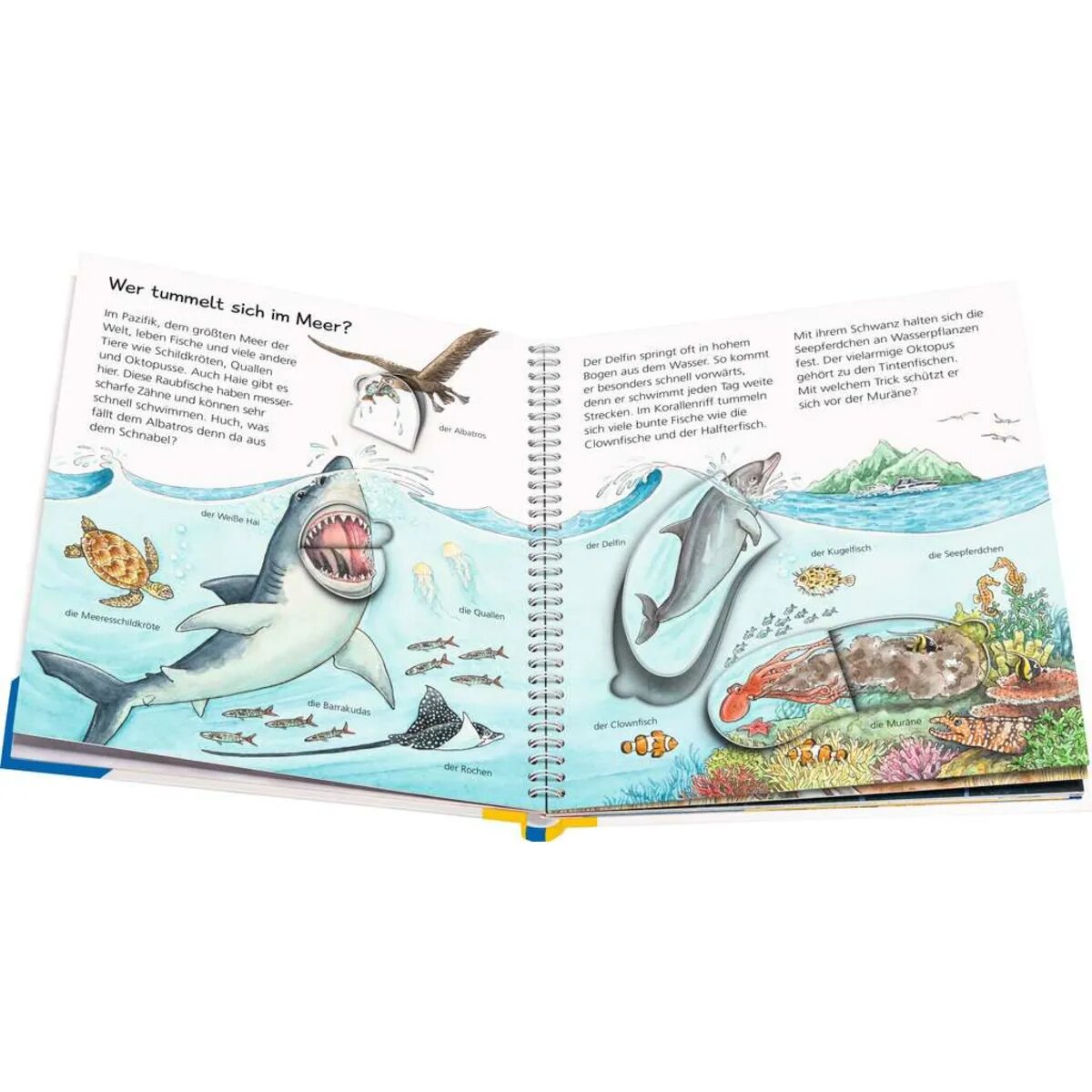 ravensburger-wieso-weshalb-warum-junior-1E2E35AD3.jpg