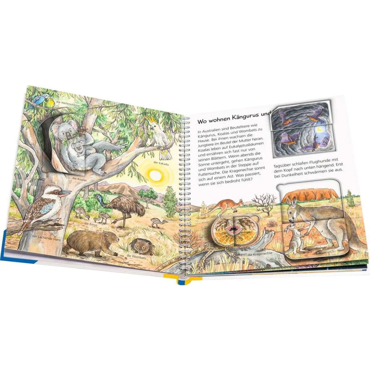 ravensburger-wieso-weshalb-warum-junior-1E2E35AD4.jpg