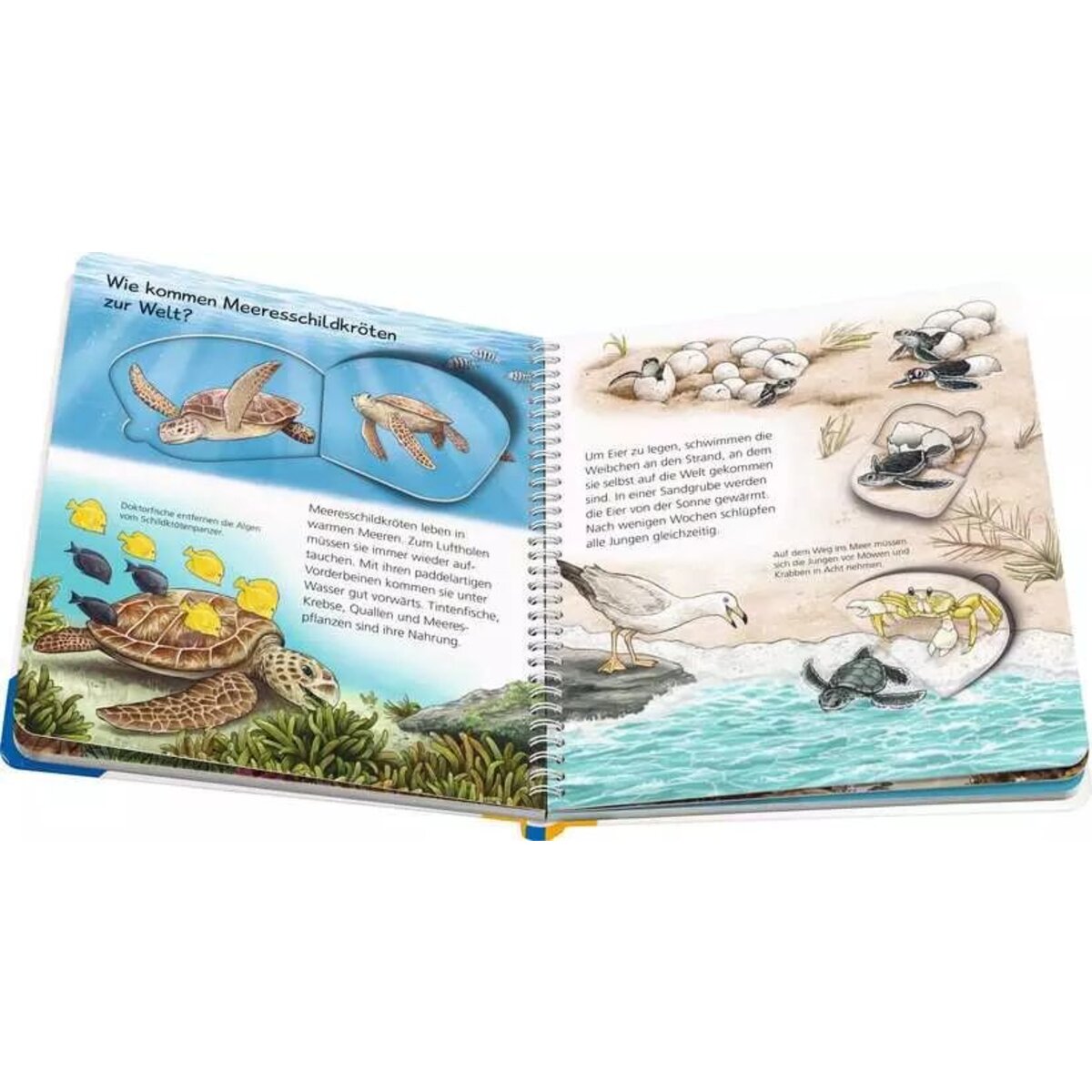 Ravensburger Wieso? Weshalb? Warum? junior, Band 57:  Tiere im Meer