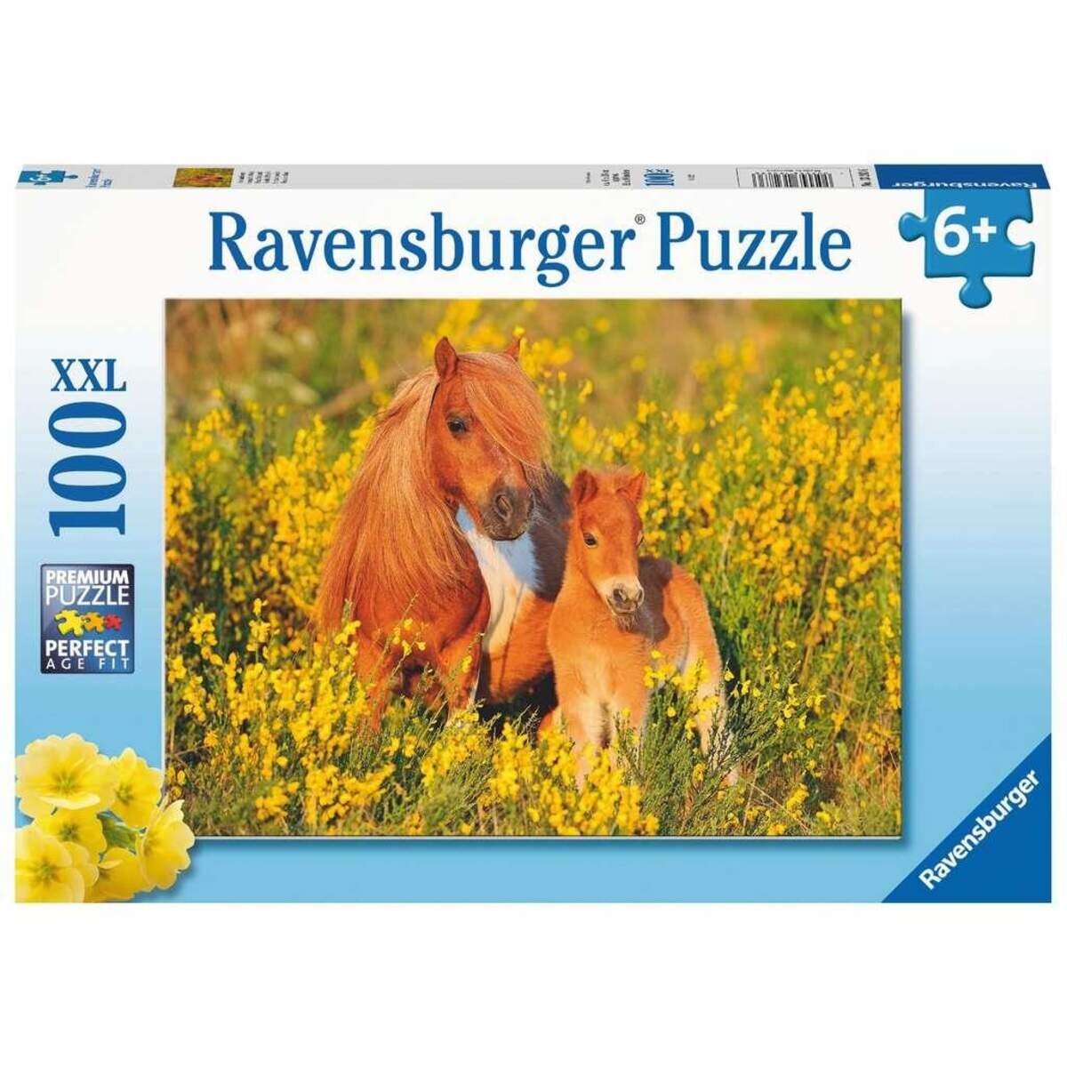 Ravensburger XXL Puzzle - Shetlandponys, 100 Teile