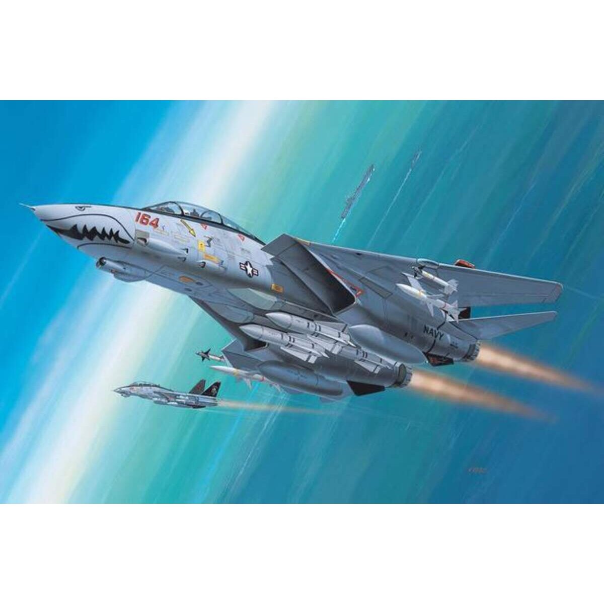 revell-f-14d-super-tomcat-F871B6A32.jpg