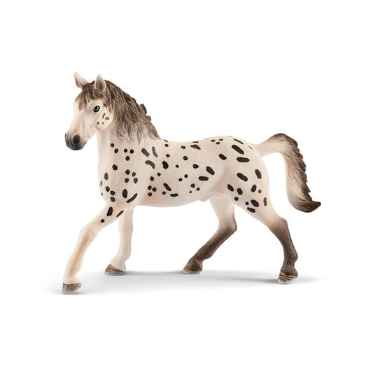 schleich-13889-horse-club-knabstrupper-DBA7D7721.jpg
