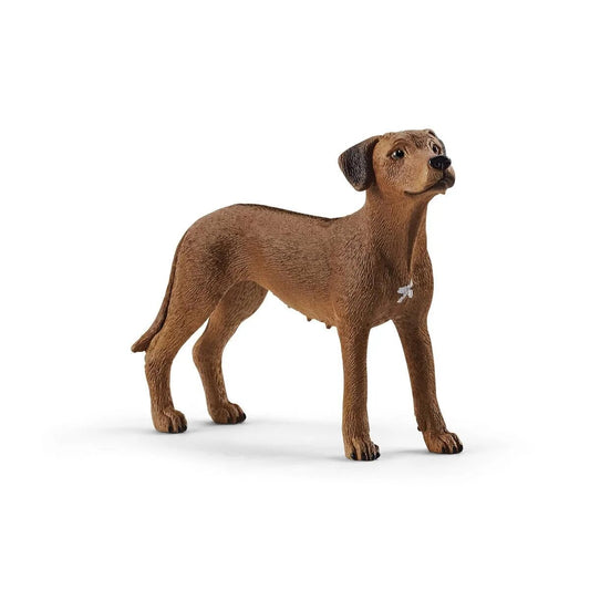 schleich-13895-farm-world-rhodesian-3F2FEA0F1.jpg
