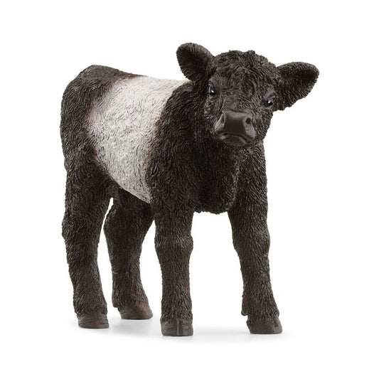 Schleich® 13969 Farm World - Galloway Kalb