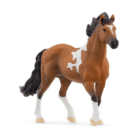 Schleich® 13978 Horse Club - Mangalarga Marchador Hengst