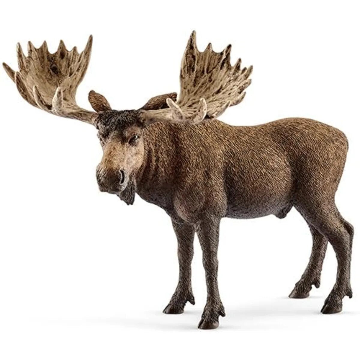 schleich-14781-elch-bulle-C21ED6262.jpg