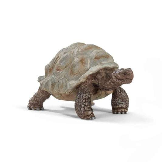 Schleich® 14824 Wild Life - Riesenschildkröte