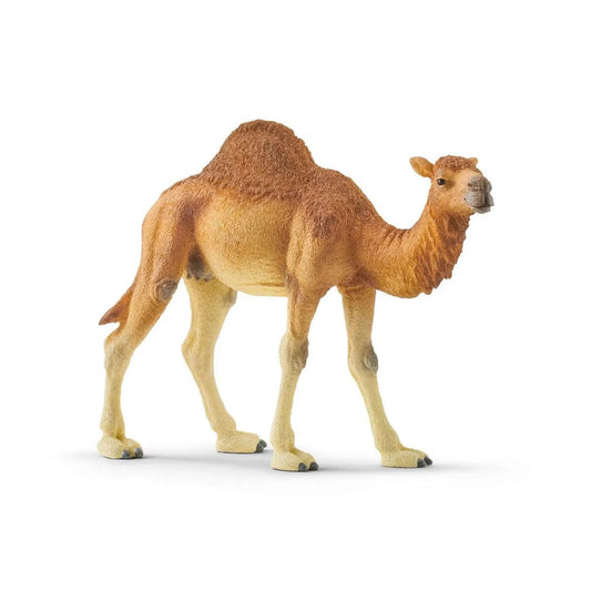 Schleich® 14832 Wild Life Dromedar