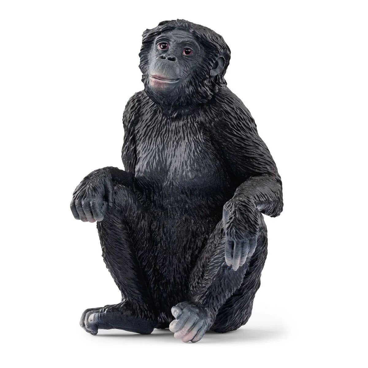 Schleich® 14875 Wild Life - Bonobo Weibchen