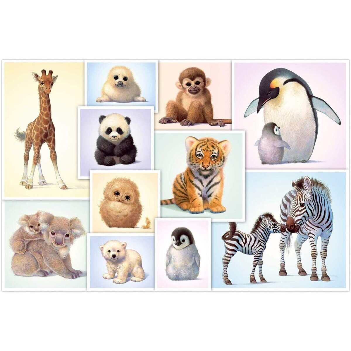 Schmidt Spiele KinderPuzzle - Puzzle Tierkinder der Wildnis, 200 Teile