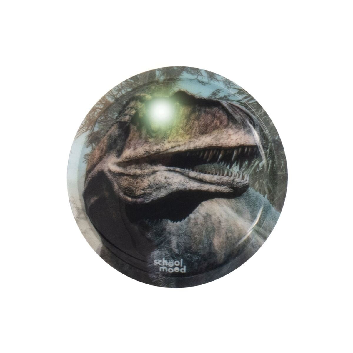 school-mood-kletties-led-dinosaurier-49918B461.jpg