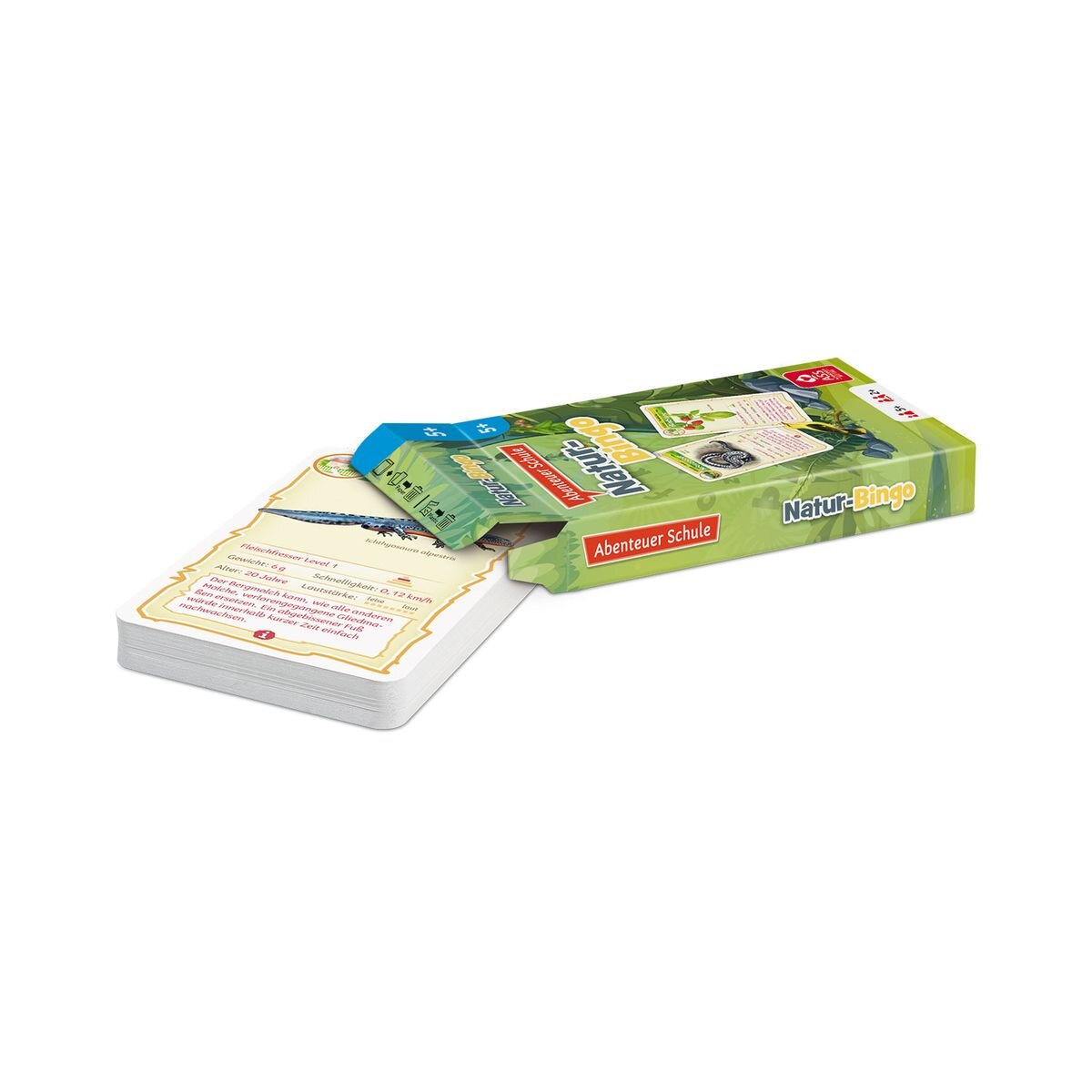shuffle-abenteuer-schule---2459852F3.jpg