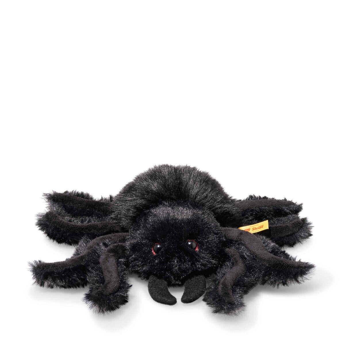 spinne-cobweb-spinne-14-cm-A807DEB11.jpg