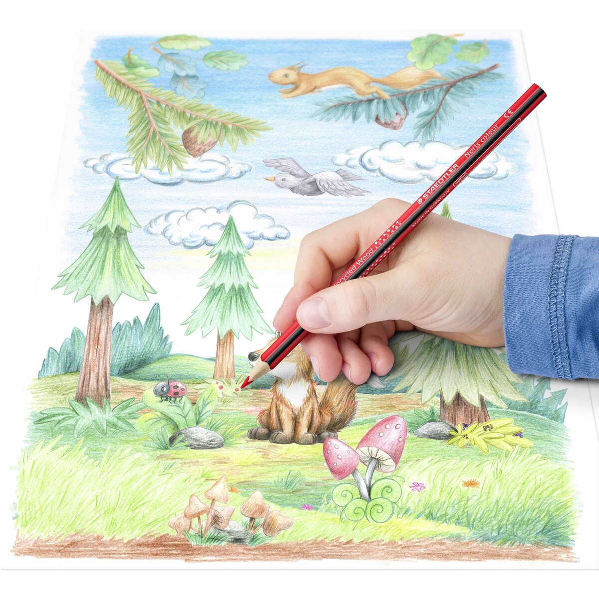 staedtler-noris-colour-187-buntstift-8EA4B2054.jpg