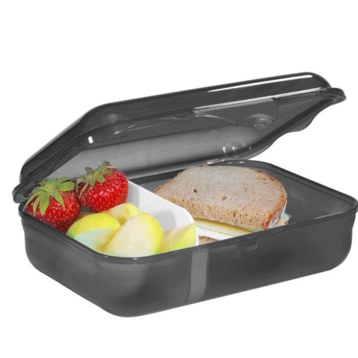 Step by Step Lunchbox mit Trennwand, Dino Life